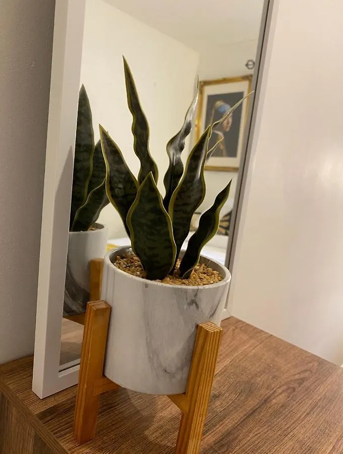 Stunning 2 Bed Apartment, In The Heart Of Exeter! Apartment Exeter
